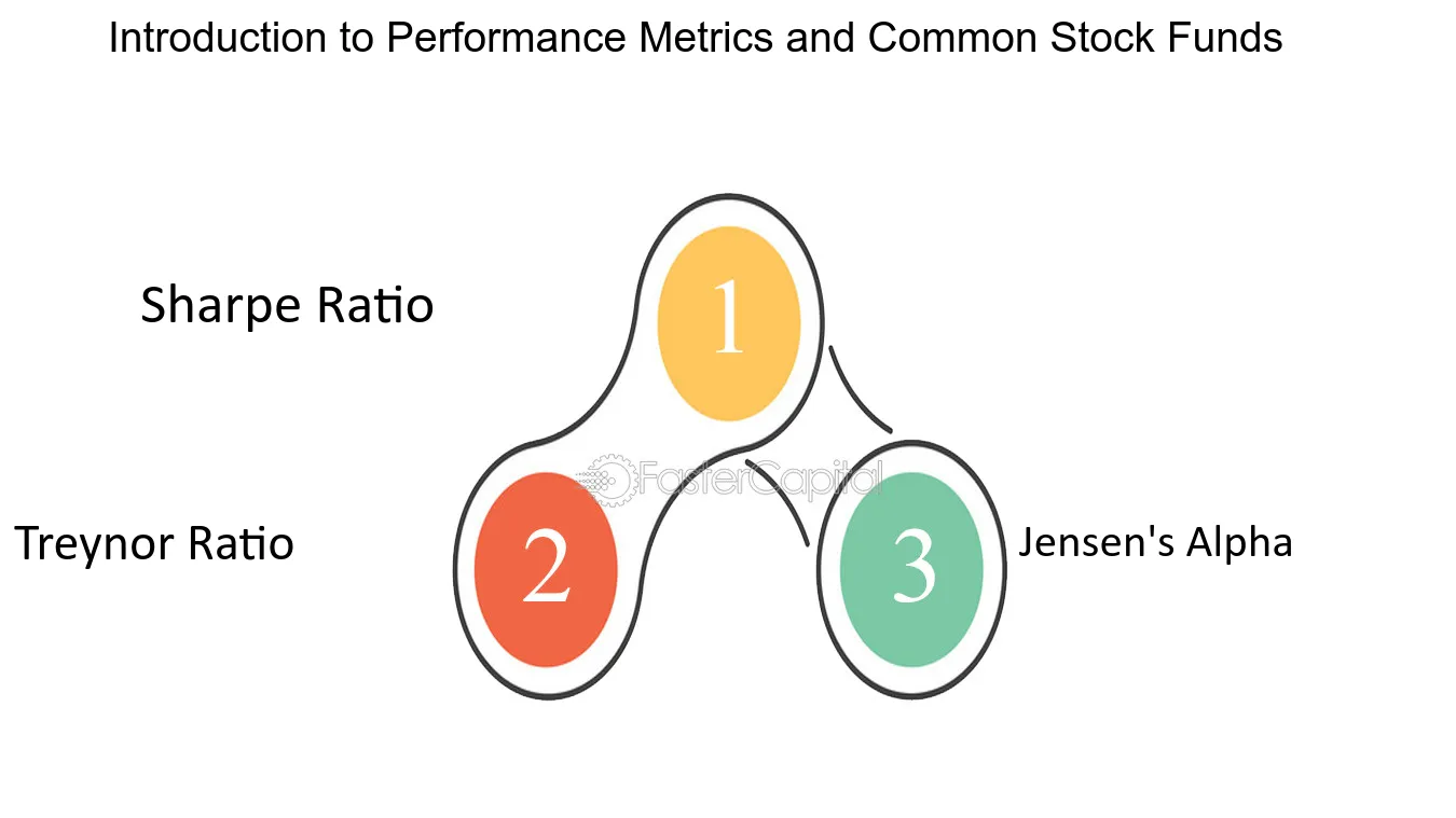 Introduction to Performance Metrics and Common Stock Funds - Performance: Analyzing Performance Metrics of Common Stock Funds
